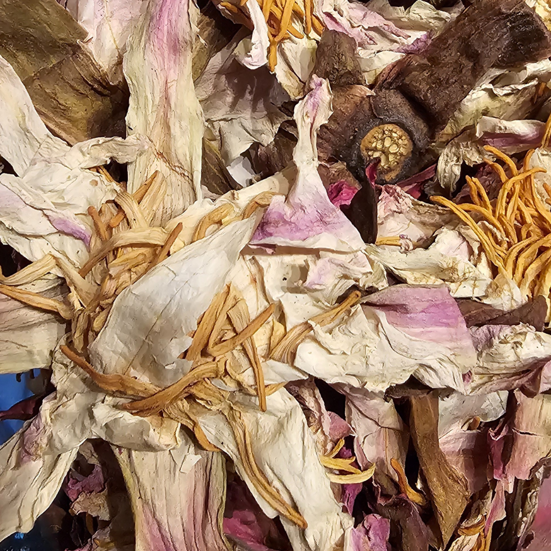 White Water Lily Bloemen