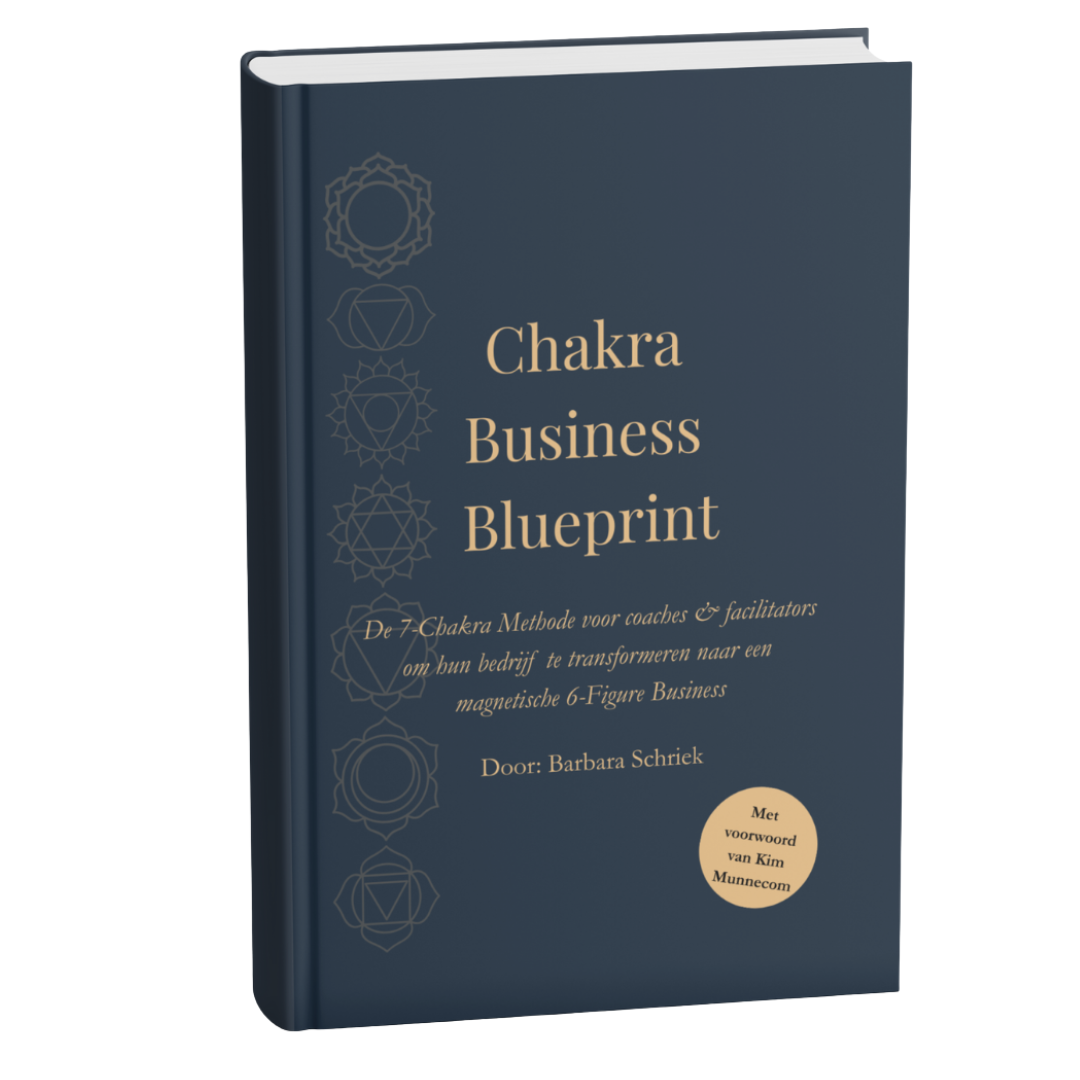 Boek: Chakra Business Blueprint