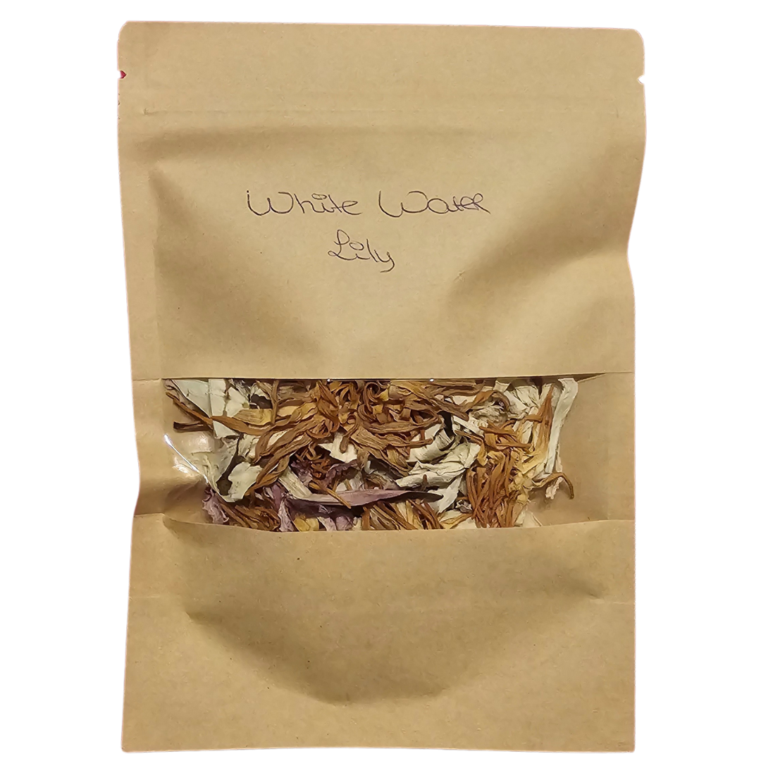 White Water Lily Bloemen